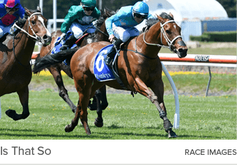 Is That So Race Image