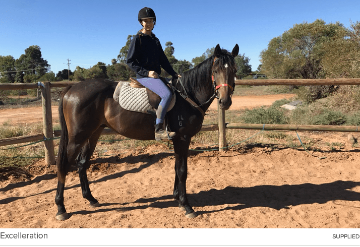 Excelleration supplie