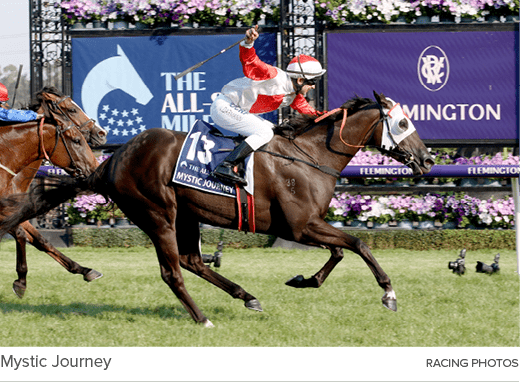 Mystic Journey racing photo