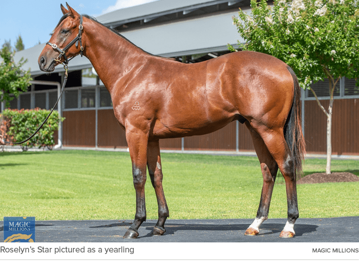 Roselyn’s Star pictured as a yearling Magic Million