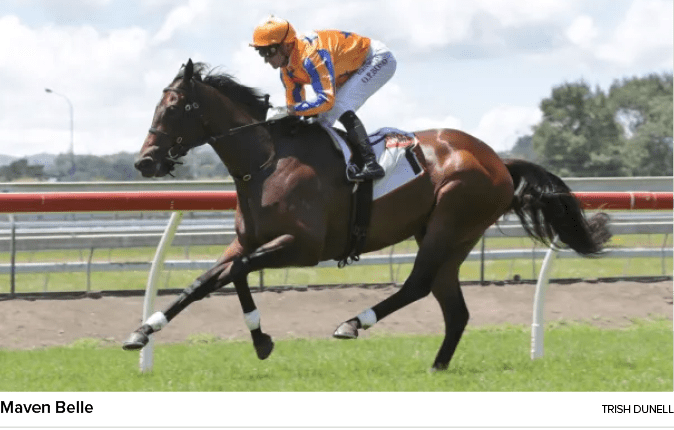 Maven Belle Trish Dunel