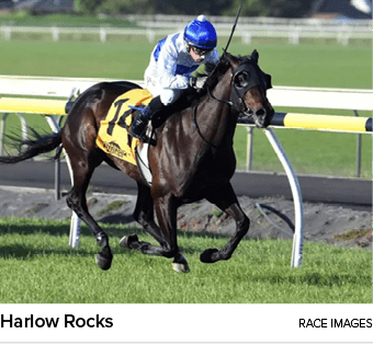Harlow Rocks race image