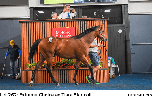 Lot 262: Extreme Choice ex Tiara Star colt magic million