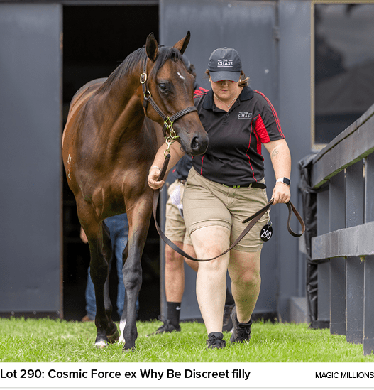 Lot 290: Cosmic Force ex Why Be Discreet filly magic million