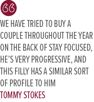 We have tried to buy a couple throughout the year on the back of Stay Focused, he’s very progressive, and this filly ...