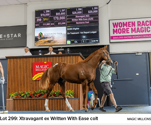 Lot 299: Xtravagant ex Written With Ease colt magic million