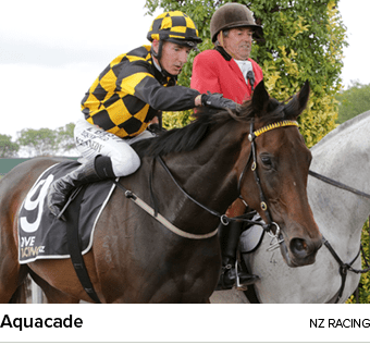 Aquacade nz racin