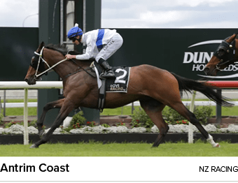 Antrim Coast nz racin