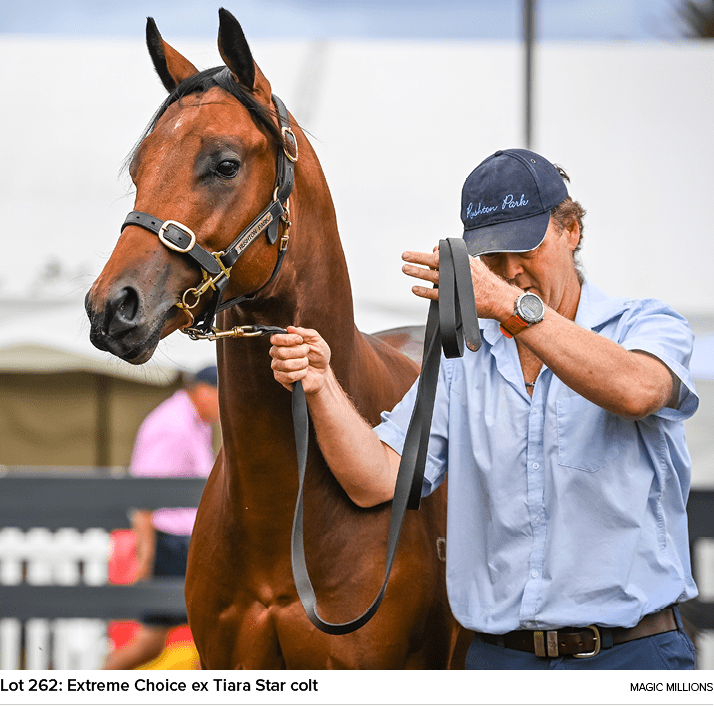 Lot 262: Extreme Choice ex Tiara Star colt magic million