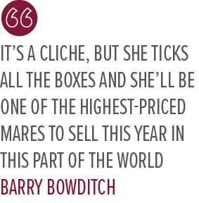 It’s a cliche, but she ticks all the boxes and she’ll be one of the highest priced mares to sell this year in this pa...