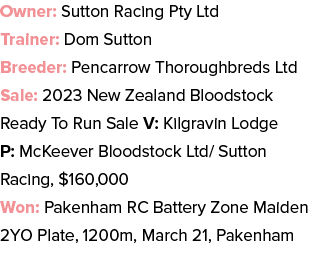 Owner: Sutton Racing Pty Ltd Trainer: Dom Sutton Breeder: Pencarrow Thoroughbreds Ltd Sale: 2023 New Zealand Bloodsto...
