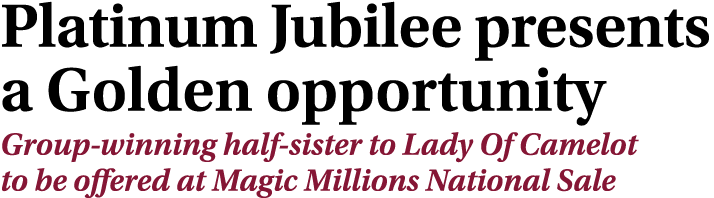 Platinum Jubilee presents a Golden opportunity Group winning half sister to Lady Of Camelot to be offered at Magic Mi...