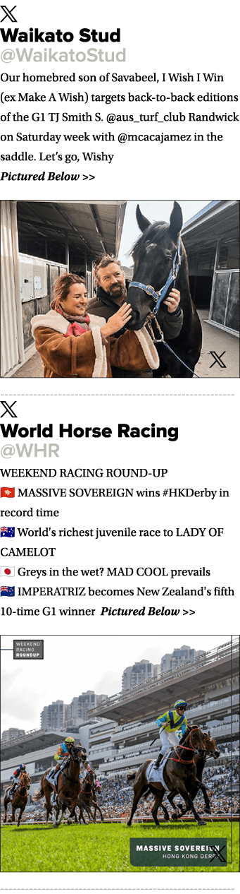 ￼ Waikato Stud @WaikatoStud Our homebred son of Savabeel, I Wish I Win (ex Make A Wish) targets back to back editions...