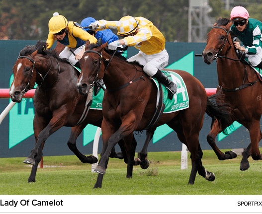 Lady Of Camelot sportpi