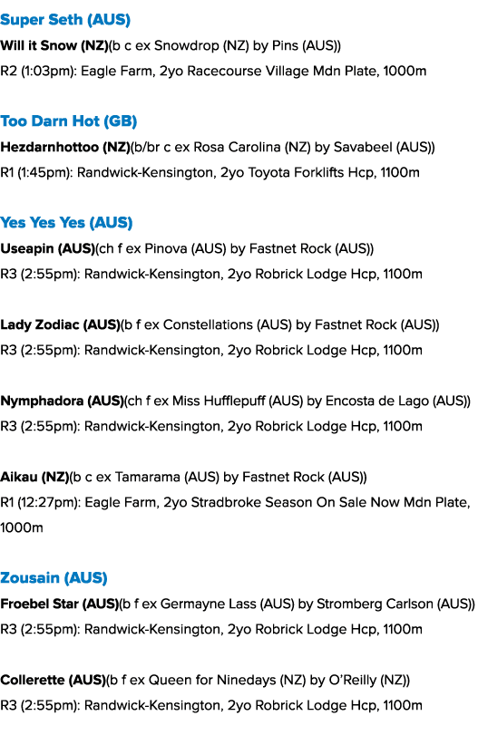 Super Seth (AUS) Will it Snow (NZ)(b c ex Snowdrop (NZ) by Pins (AUS)) R2 (1:03pm): Eagle Farm, 2yo Racecourse Villag...