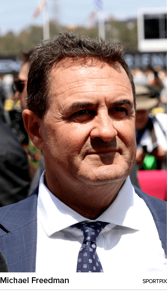 Michael Freedman sportpi