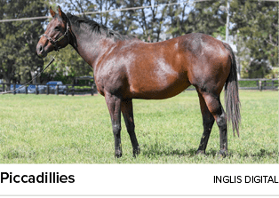 Piccadillies Inglis Digita