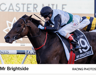 Mr Brightside racing photo