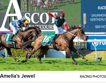 Amelia's Jewel racing photo