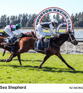 Sea Shepherd nz racin