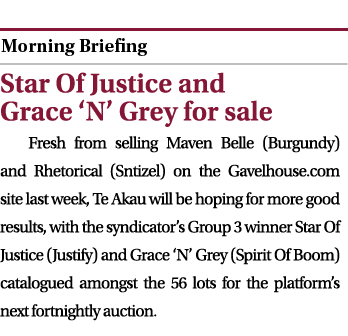  ￼ Star Of Justice and Grace ‘N’ Grey for sale Fresh from selling Maven Belle (Burgundy) and Rhetorical (Sntizel) on ...