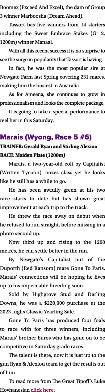 Boomex (Exceed And Excel), the dam of Group 3 winner Marboosha (Dream Ahead). Tassort has five winners from 14 starte...