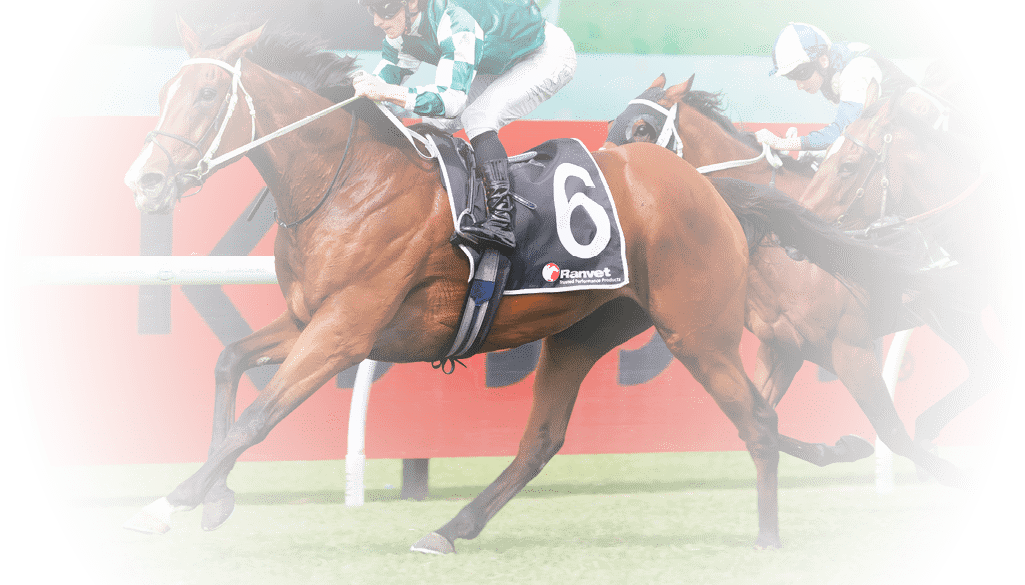 Via Sistina (James McDonald, white cap) trained by Chris Waller wins the Ranvet Stakes (Group 1 )at Rosehill on March 23, 2024 - photo by Martin King/Sportpix copyright