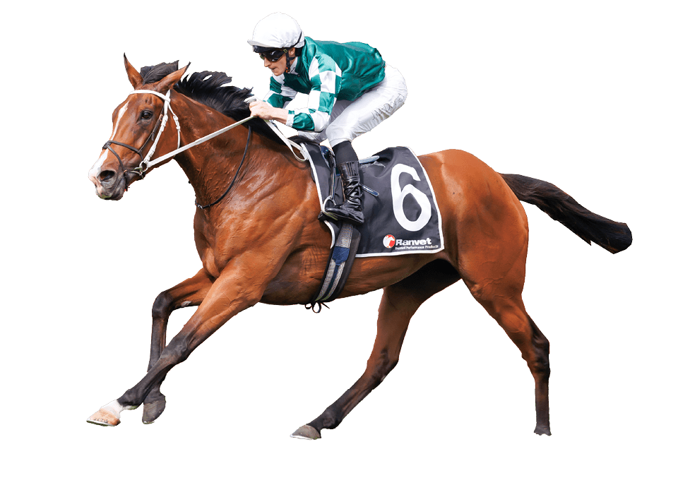 Via Sistina (James McDonald, white cap) trained by Chris Waller wins the Ranvet Stakes (Group 1 )at Rosehill on March 23, 2024 - photo by Martin King/Sportpix copyright