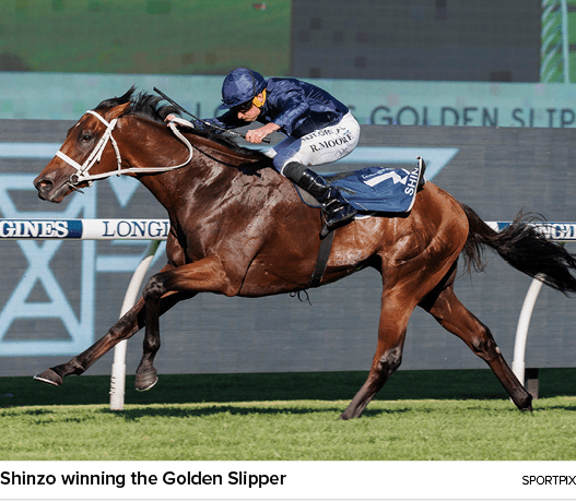Shinzo winning the Golden Slipper Sportpi