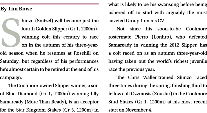 ￼ Shinzo (Snitzel) will become just the fourth Golden Slipper (Gr 1, 1200m) winning colt this century to race on in t...