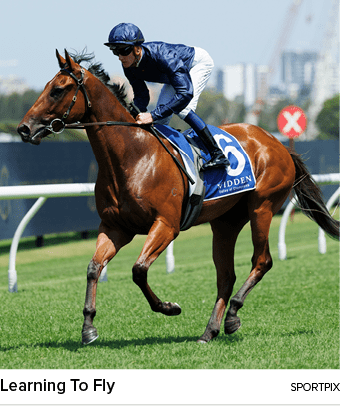 Learning To Fly sportpi