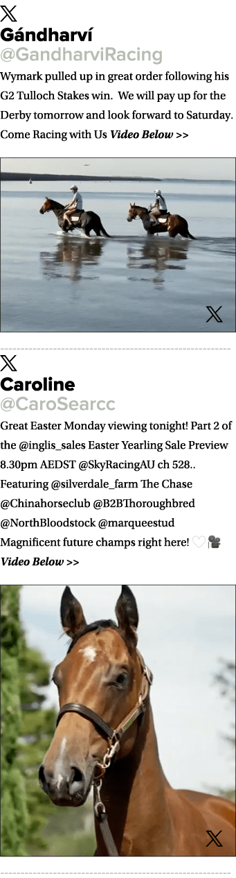 ￼ G ndharv @GandharviRacing Wymark pulled up in great order following his G2 Tulloch Stakes win. We will pay up for ...