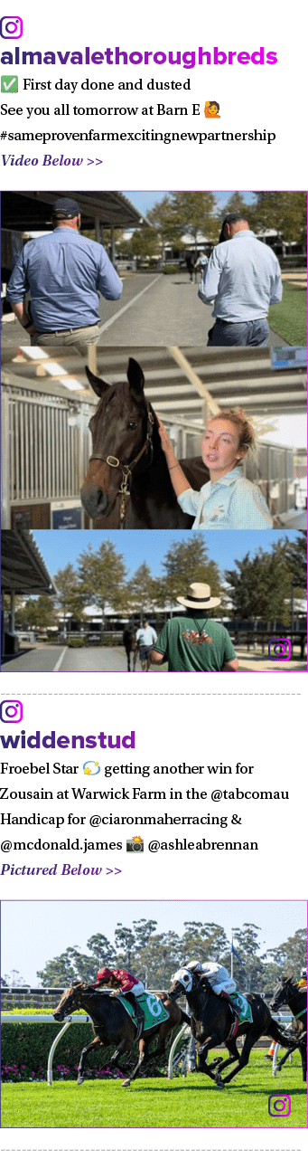 ￼ almavalethoroughbreds ✅ First day done and dusted See you all tomorrow at Barn E 🙋‍ #sameprovenfarmexcitingnewpart...