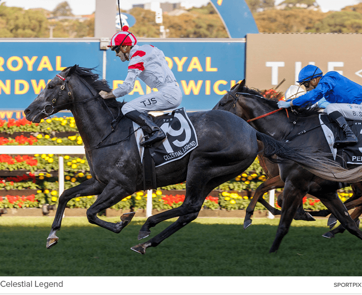 Celestial Legend sportpi