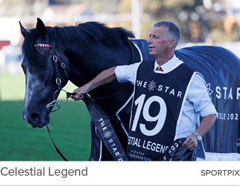 Celestial Legend sportpi