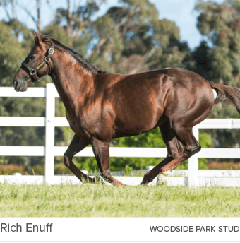 Rich Enuff woodside park stu