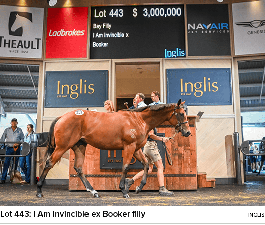 Lot 443: I Am Invincible ex Booker filly ingli