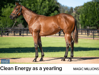 Clean Energy as a yearling magic million