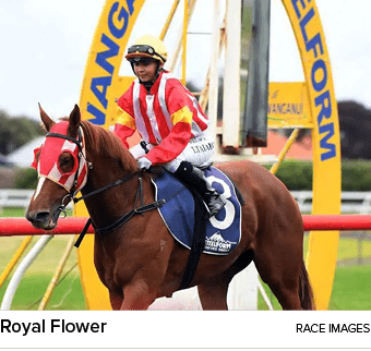 Royal Flower Race Image