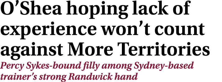 O’Shea hoping lack of experience won’t count against More Territories Percy Sykes bound filly among Sydney based trai...