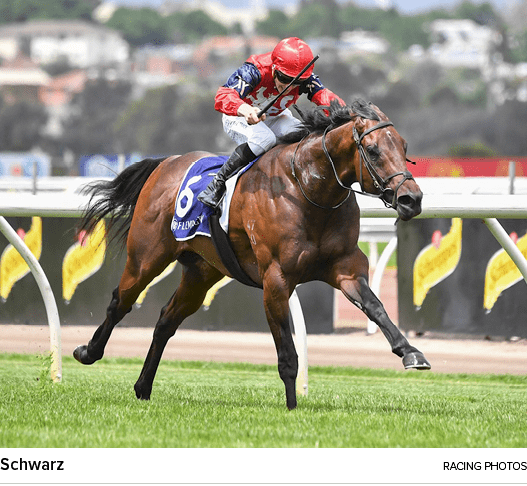 Schwarz racing photo