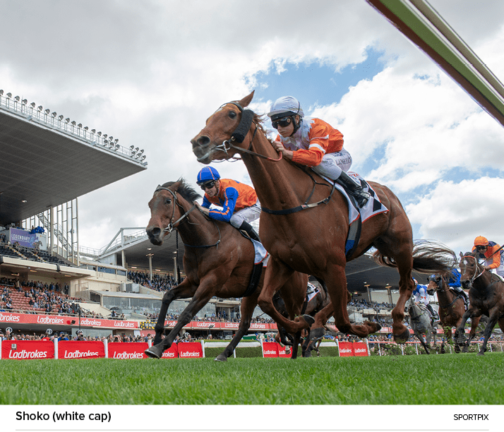 Shoko (white cap) SPORTPI