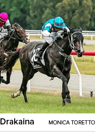 Drakaina Monica Torett