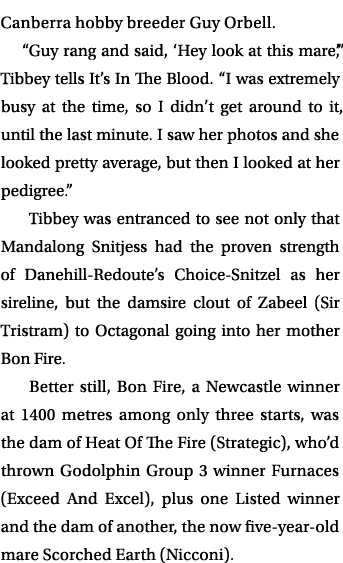 Canberra hobby breeder Guy Orbell. “Guy rang and said, ‘Hey look at this mare’,” Tibbey tells It’s In The Blood. “I w...