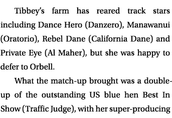 Tibbey’s farm has reared track stars including Dance Hero (Danzero), Manawanui (Oratorio), Rebel Dane (California Dan...