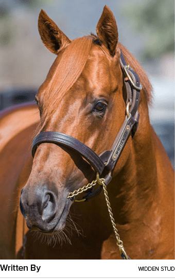 Written By widden STU