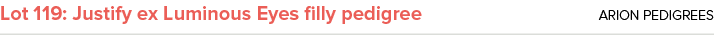 Lot 119: Justify ex Luminous Eyes filly pedigree ARION PEDIGREES