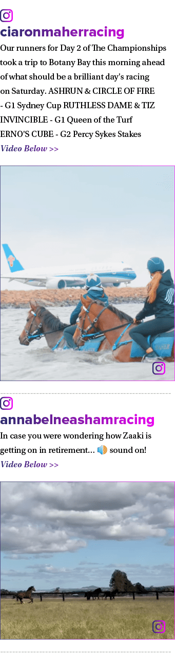 ￼ ciaronmaherracing Our runners for Day 2 of The Championships took a trip to Botany Bay this morning ahead of what s...