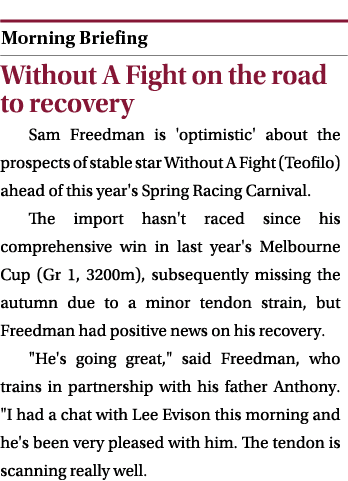  ￼ Without A Fight on the road to recovery Sam Freedman is 'optimistic' about the prospects of stable star Without A ...