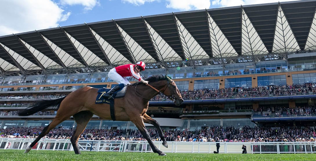 Isle Of Jura (Callum Sheperd) wins the Hardwicke Ascot 22.6.24 Pic: Edward Whitaker